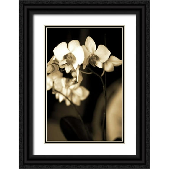 Ryan, Cinzia 13x18 Black Ornate Wood Framed with Double Matting Museum Art Print Titled - Exotic Blooms