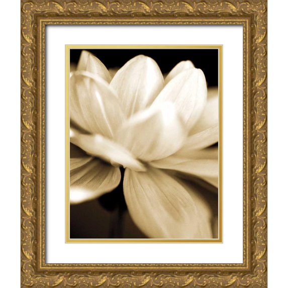 Ryan, Cinzia 15x18 Gold Ornate Wood Framed with Double Matting Museum Art Print Titled - Radiance II