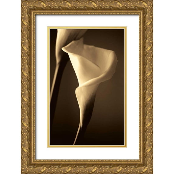 Ryan, Cinzia 17x24 Gold Ornate Wood Framed with Double Matting Museum Art Print Titled - Divinity