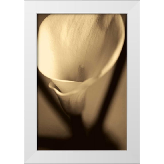 Ryan, Cinzia 22x32 White Modern Wood Framed Museum Art Print Titled - Divinity