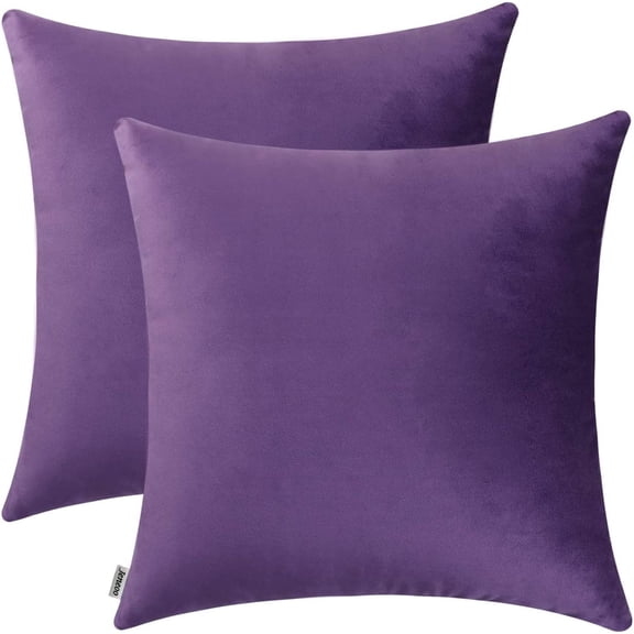 Ryan; Comfy Soft Thick Throw Pillow Covers for Sofa Couch, Decorative Square Cushion Cases for Bedroom Car (Eggplant Purple,2 Pieces)