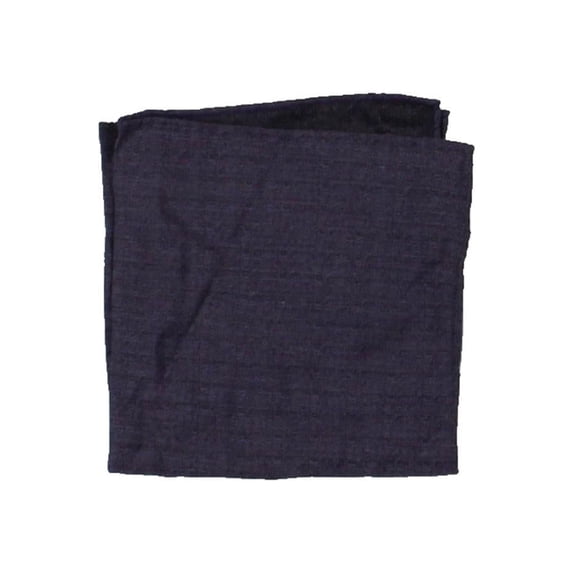 Ryan Seacrest Distinction Mens Tymon Silk Business Pocket Square