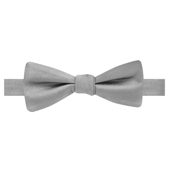 Ryan Seacrest Mens Basic Pre-tied Bow Tie, Grey, One Size