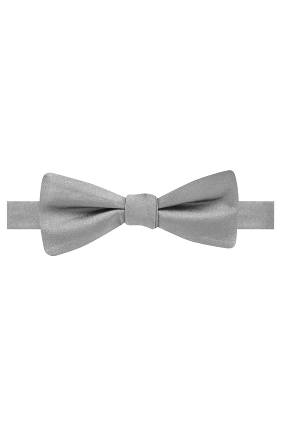 Ryan Seacrest Mens Basic Pre-tied Bow Tie, Grey, One Size