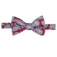 thumbnail image 1 of Ryan Seacrest Mens Bradbury Pine Pre-tied Bow Tie, Red, One Size, 1 of 1