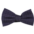 thumbnail image 1 of Ryan Seacrest Mens Cambria Pre-tied Bow Tie, Purple, One Size, 1 of 1