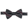 thumbnail image 1 of Ryan Seacrest Mens Imperial Self-tied Bow Tie, Grey, One Size, 1 of 1