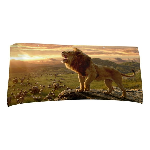 RyanK Beach Towel Microfiber Beach Towel Super Lightweight Colorful Bath Towel Sandproof Beach Blanket Multi-Purpose Towel For Travel Swimming Pool 30x60 Inch