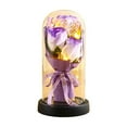 thumbnail image 1 of RyanK Valentine'S Day Gifts Eternal Rose Gifts For Women Birthday Gifts For Mom Light Up Rose In Glass Dome Eternal Rose Flower Gifts Mom Day Valentines Day Rose Gifts For Her, 1 of 6