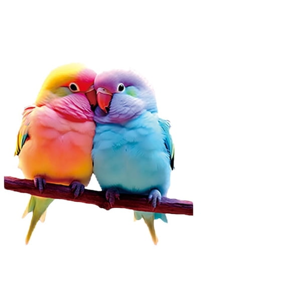 RyanK Valentine'S Day Gifts Valentine'S Day Decorations Valentine's Day Couple Two-color Parrot Hanging Decorative Keychain Bag Pendant Car Rearview Mirror Pendant