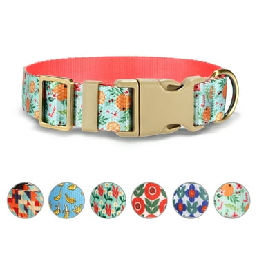 Rychif Cute Dog Collar, Orange Pattern, Soft Nylon Pet Collars for Small Medium Large Dogs, S