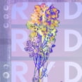 thumbnail image 1 of Ryd, 1 of 1