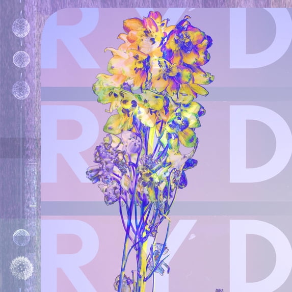 Ryd