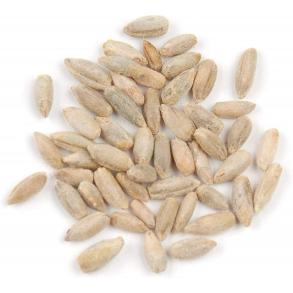 Rye Berries | 22 Pounds | High in Fiber and Iron - 22 Pound Bag of Rye Berries - Made in USA