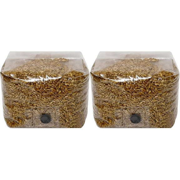 Rye Berry Mushroom Substrate Grow Bags with Self Healing Injection Port (3lbs Bag) (2)
