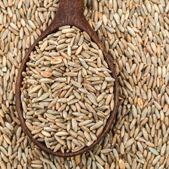 Rye Seeds for Planting - 5 Lbs Bulk Pack - Fast Growing Cover Crop Rye Seeds for Outdoor Garden