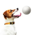 thumbnail image 1 of Rygai Interactive Dog Toys Dog Ball Toy High Elastic Bite Resistant Anxiety Relief with Unique 3D Protrusions for Aggressive Chewers Interactive Pet Supplies, 1 of 7
