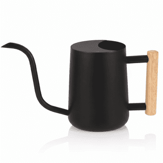 Watering Can for Indoor Plants, 35oz/1000ml Metal Stainless Steel Small Watering Can with Long Spout for House Plants Succulents Bonsai Indoor Gardening - Black