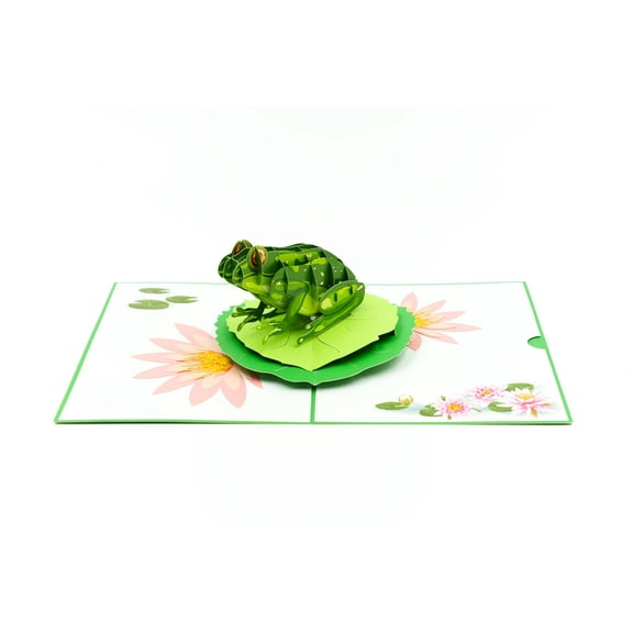 Rykamia Blank Frog Pop Up Card, 6x8" Frog Greeting Card, Frog Birthday Card