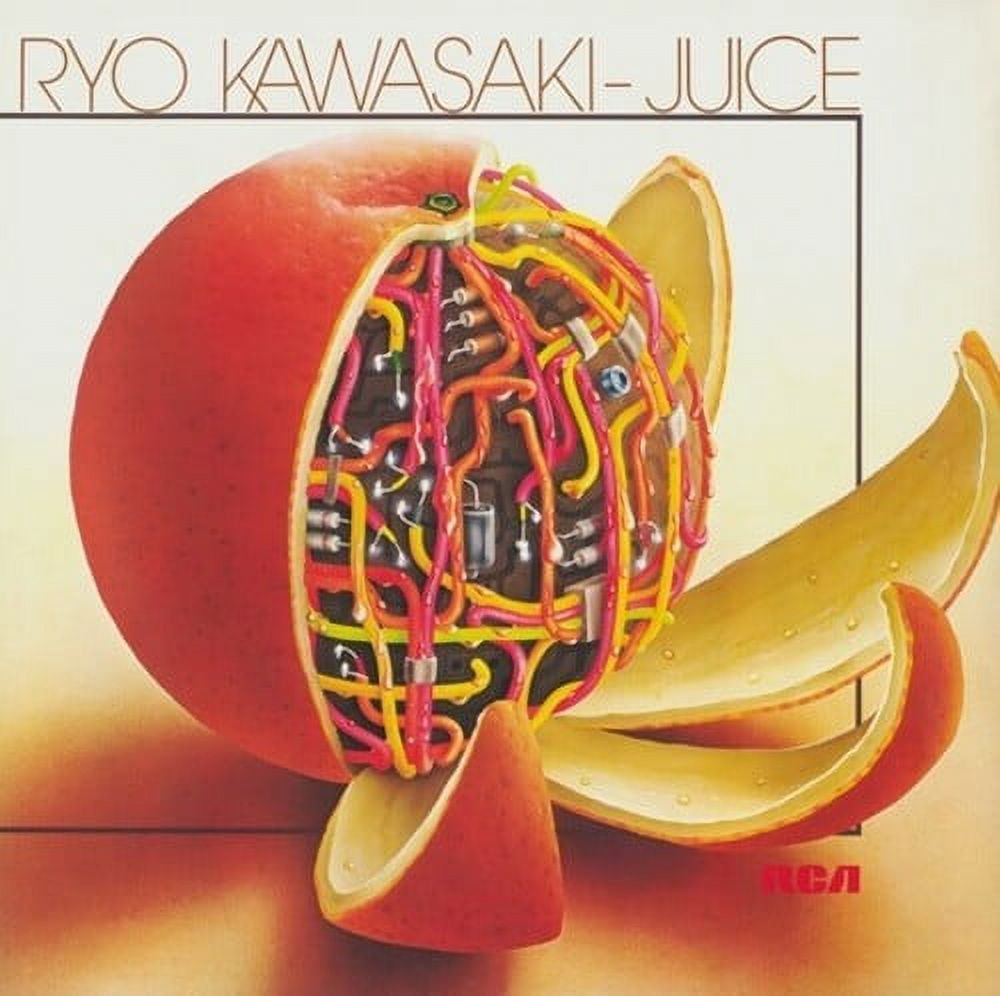 Ryo Kawasaki - Juice - Music & Performance - Vinyl