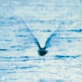 thumbnail image 1 of Ryo Rukui - Mellow Dream - Music & Performance - Vinyl, 1 of 1