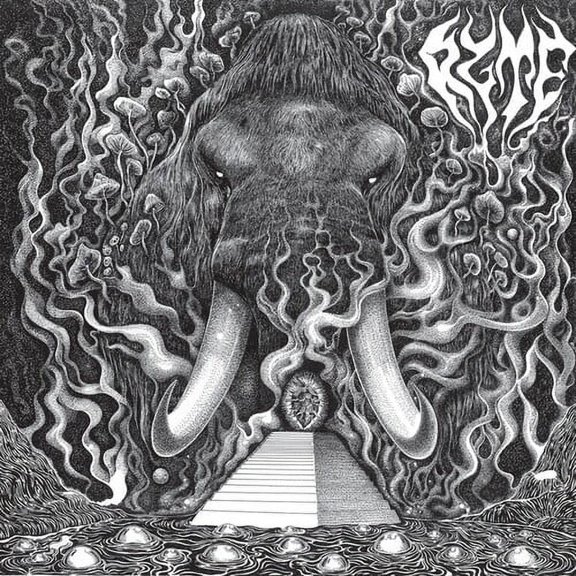 Ryte - Ryte - Music & Performance - CD