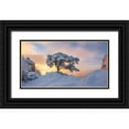 thumbnail image 1 of Ryu, Jaeyoun 18x11 Black Ornate Wood Framed with Double Matting Museum Art Print Titled - Cold Loner, 1 of 4