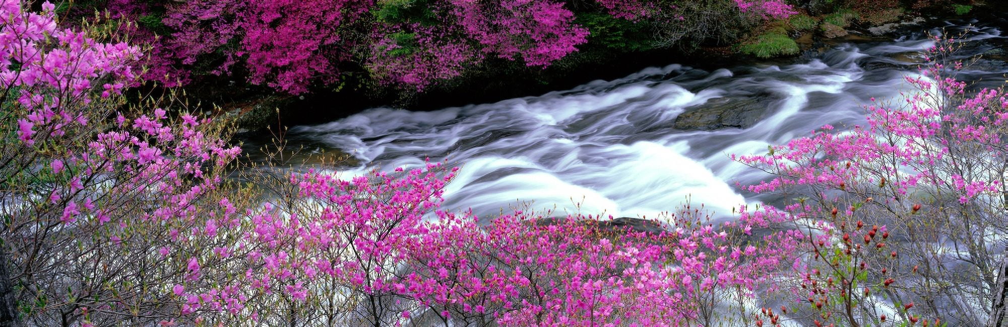 Ryuzu Falls Tochigi Japan Canvas Art - Panoramic Images (27 x 9)