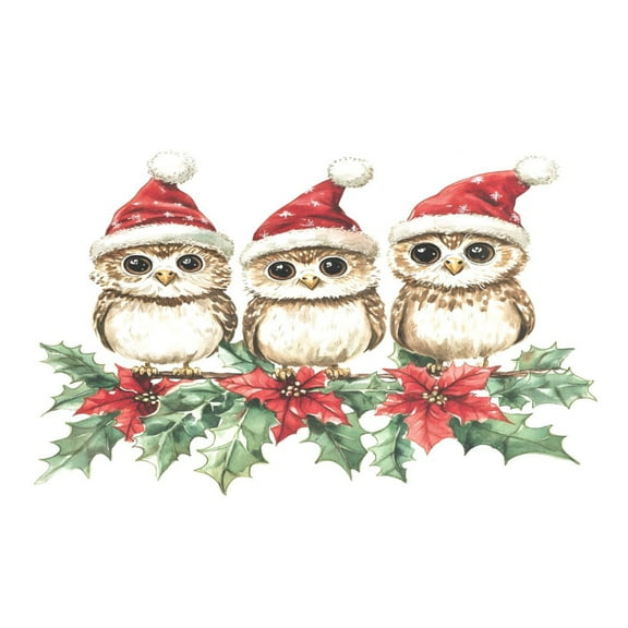 Ryvnso 1 Piece Placemats Christmas Owls Dining Mats Heat-Resistant Non-Slip Washable Table Mat
