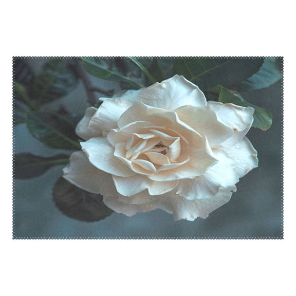 Ryvnso 1 Piece Placemats Jasmine Beautiful Flower Dining Mats Heat-Resistant Non-Slip Washable Table Mat