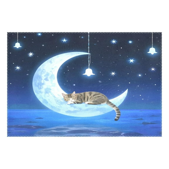 Ryvnso 1 Piece Placemats Magic Cat Night Dining Mats Heat-Resistant Non-Slip Washable Table Mat