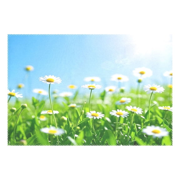 Ryvnso 1 Piece Placemats Summer Daisy Flower Dining Mats Heat-Resistant Non-Slip Washable Table Mat