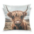 thumbnail image 1 of Ryvnso A Highland Cow Throw Pillow Covers Couch Pillowcases Decor for Bed Sofa 18" x 18", 1 of 7