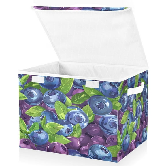 Ryvnso Blueberries Berries Large Lidded Foldable Storage Baskets Cubes Boxes Lids Bin for Home