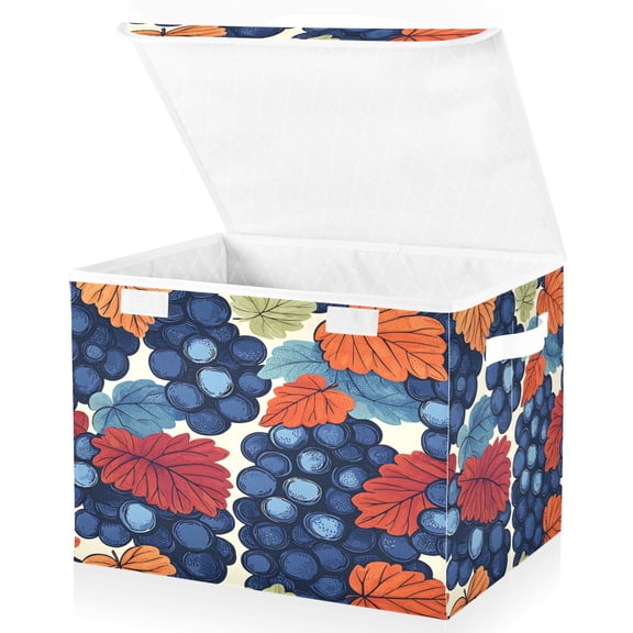 Ryvnso Fruit Grapes Large Lidded Foldable Storage Baskets Cubes Boxes Lids Bin for Home