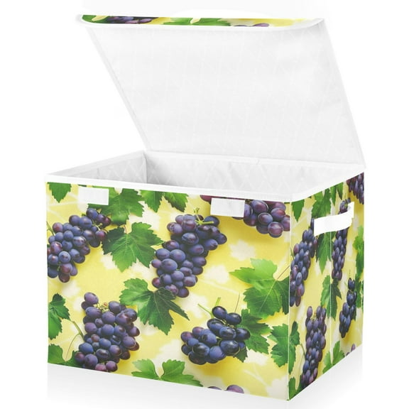 Ryvnso Grapes Fruit Large Lidded Foldable Storage Baskets Cubes Boxes Lids Bin for Home