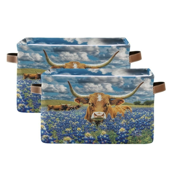 Ryvnso Highland Cow View Storage Basket Large Bin Foldable Boxes Toys Organizer 14.2x10.2x8.3in 2 PCs