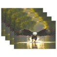 thumbnail image 1 of Ryvnso Placemats Set of 4 Eagle Flying Dining Mats Heat-Resistant Non-Slip Washable Table Mat, 1 of 8