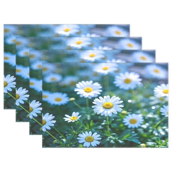 Ryvnso Placemats Set of 4 Summer Daisy Flower-a2 Dining Mats Heat-Resistant Non-Slip Washable Table Mat