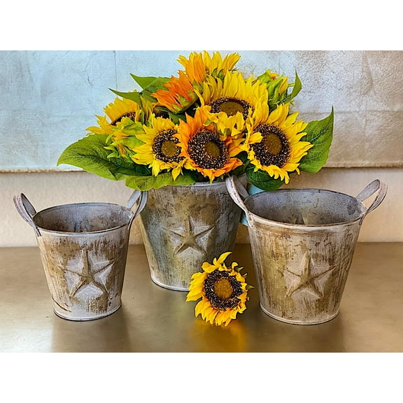 S/3 Metal Buckets Planters With Handles Lone Star Tarnished Gold Design Decorative Distressed Rustic Bathroom Garden Utility Organizer Indoor Outdoor