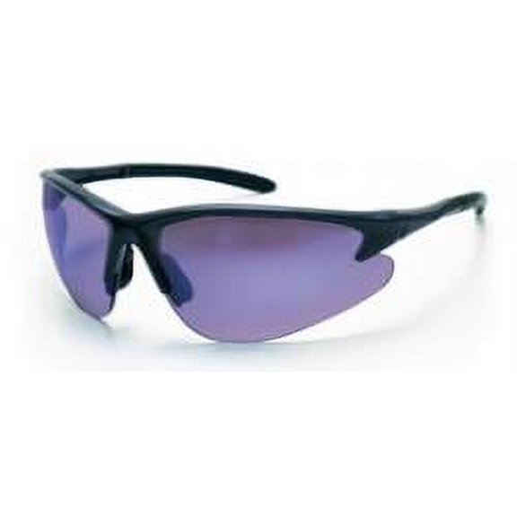 S A S  SAFETY CORP DB2 SFTY GLSS CHAR FRME W/PRLE HAZE