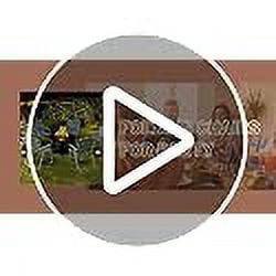 S AFSTAR Beach Chair Set of 6, Portable Folding Lawn Chairs Webbing with Webbed Seat & Back, Lightweight Foldable Heavy Duty Camping Chairs 330 lbs for Outside/Outdoor, Patio, Pool, Garden, Yard