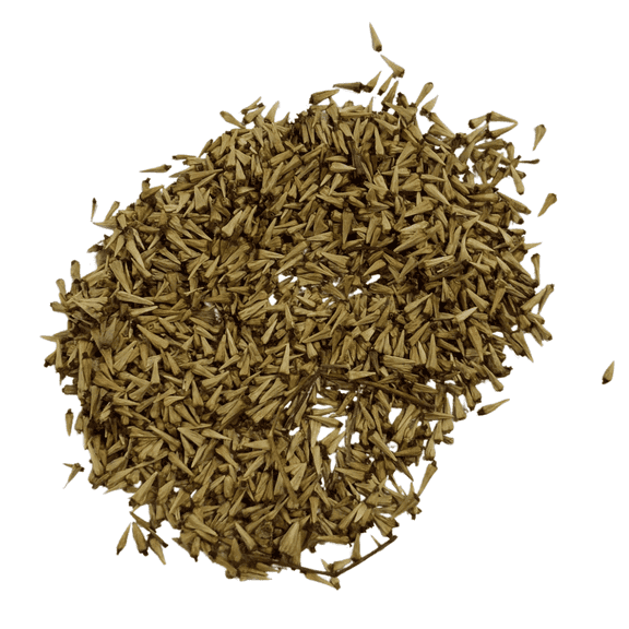 Bulk Buttonbush Seeds (Cephalanthus occidentalis) 1000 Seeds (11 grams) by Smoke Camp Crafts - Native Pollinator Shrub