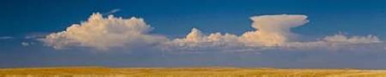 S Dakota Prairie 2 Canvas Art - Steve McMahon (12 x 36)