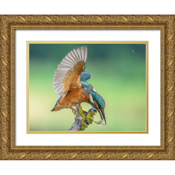 S., Damian 14x12 Gold Ornate Wood Framed with Double Matting Museum Art Print Titled - Untitled