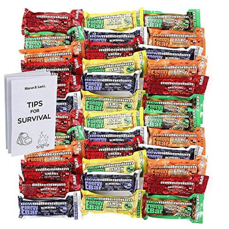 S.O.S. Food Labs Millennium Assorted Energy Bars (6 Count) - Long Shelf Life Fruit Flavored Bar Bundle - Survival Pack for Calamity, Disaster, Hiking and Meal Replacement - with Emergency Guide