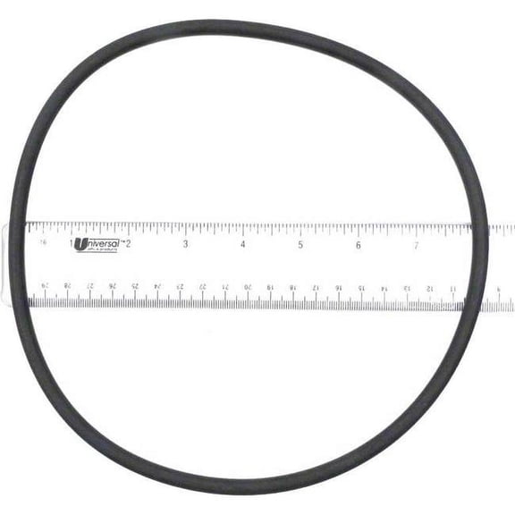 S-Seal Anthony Lens Gasket