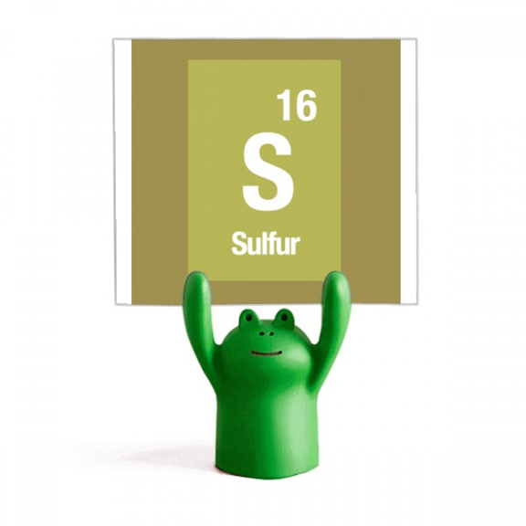 S Sulfur Checal Element Science Memo Holder Cartoon Animal Frog Stand Decoration