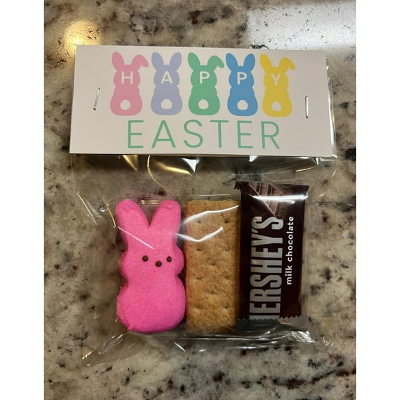S'mores Easter Peeps Treat Bags, School Easter Party Favors, Easter Party Bags, S'mores Party Favor Bags, S'mores Peeps Party Favor
