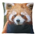 thumbnail image 1 of S4Sassy Decorative Red Panda Face Digital Print Pillow Case Square Cushion Covers -12 x 12 Inches, 1 of 4